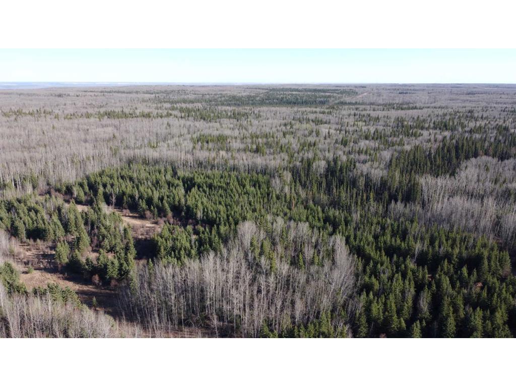 












None

,
Rural Northern Lights, County of,







AB
T8S 1K7


