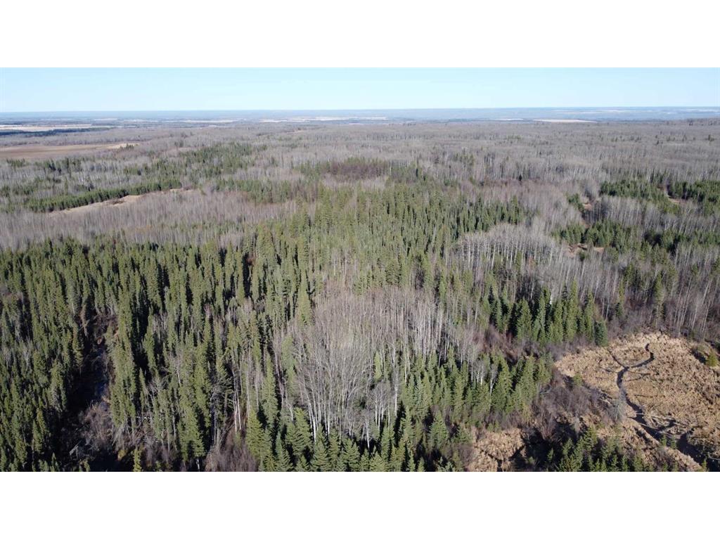 












None

,
Rural Northern Lights, County of,







AB
T8S 1K7

