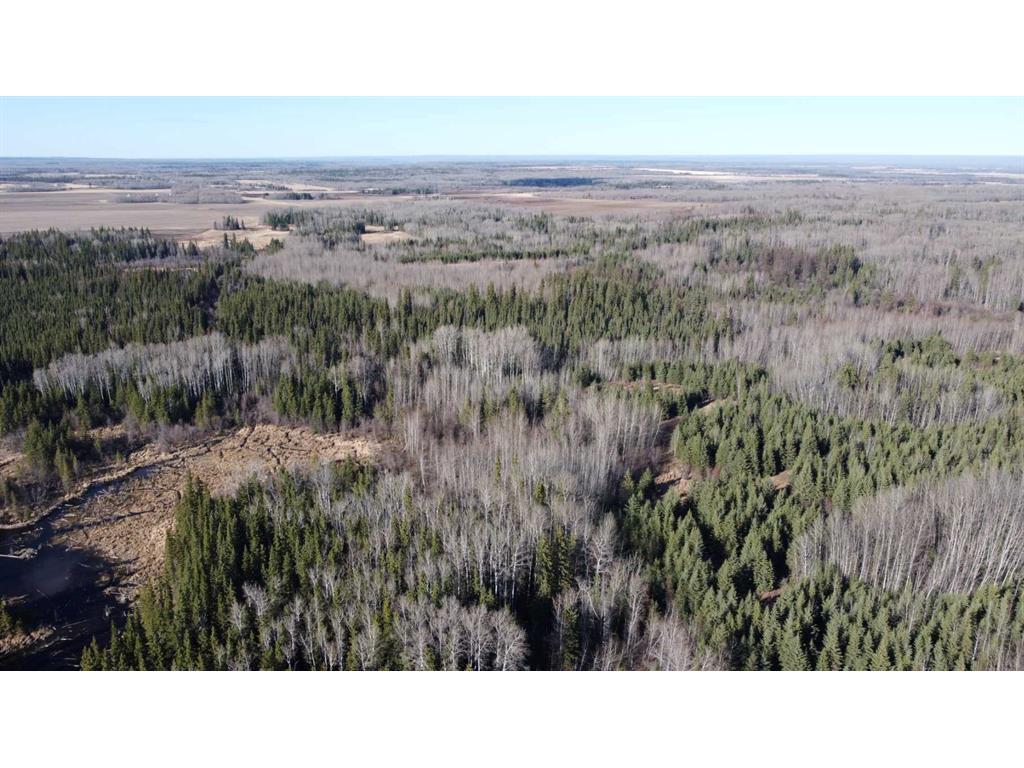












None

,
Rural Northern Lights, County of,







AB
T8S 1K7


