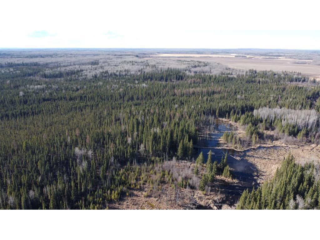 












None

,
Rural Northern Lights, County of,







AB
T8S 1K7


