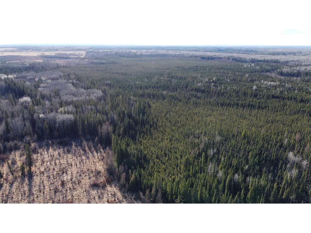 












None

,
Rural Northern Lights, County of,







AB
T8S 1K7

