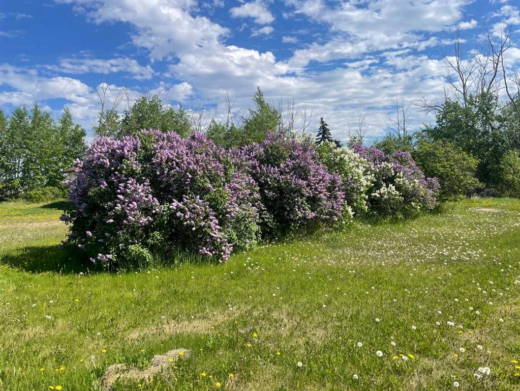









5411


50

Street,
Berwyn,




AB
T0H 0E0

