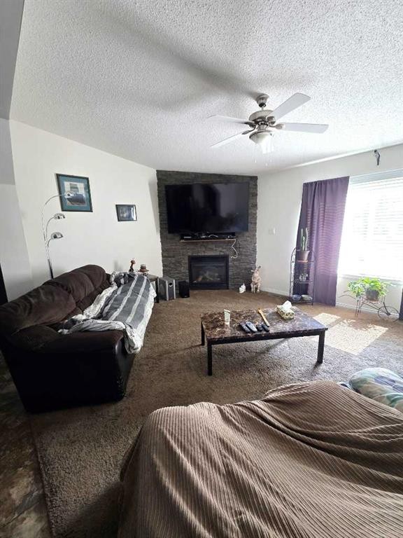 









55


Avenue

, 4732,
High Prairie,




AB
T0G 1E0

