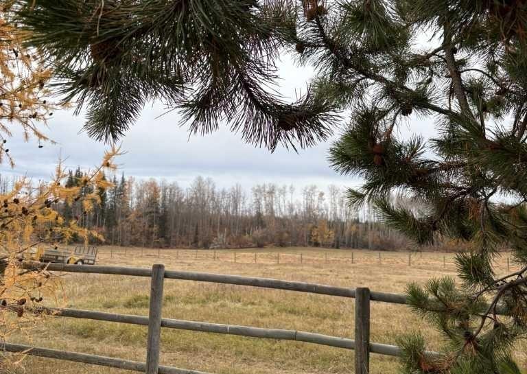 









669


Highway

, 21317,
Rural Greenview No. 16, M.D. of,




AB
T0H3N0

