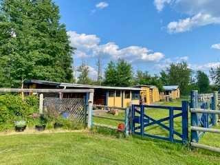 









669


Highway

, 21317,
Rural Greenview No. 16, M.D. of,




AB
T0H3N0

