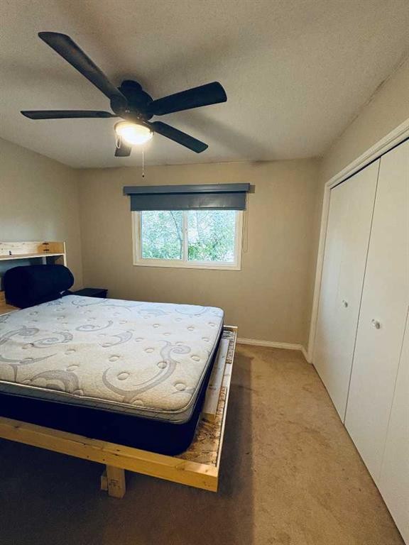









7421


98B

Street,
Peace River,




AB
T8S1B5

