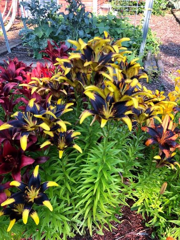 









241023


HWY 2

,
Rural Peace No. 135, M.D. of,




AB
T0H 1W0

