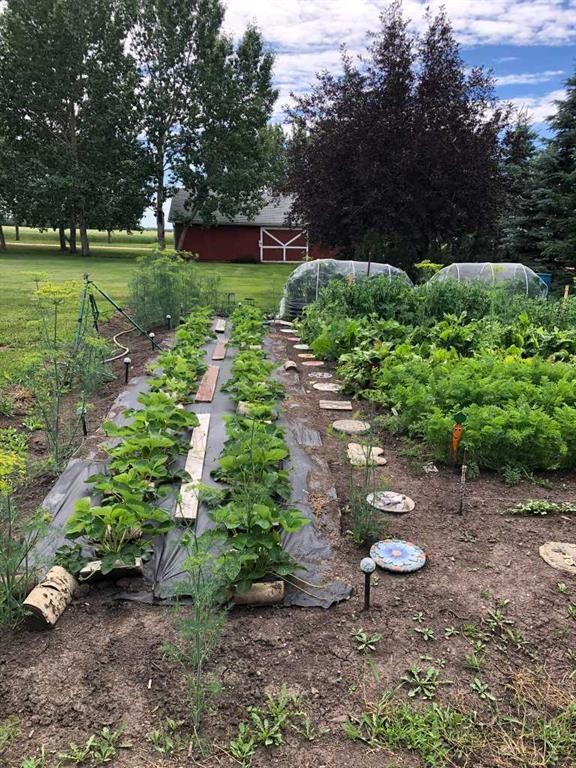 









241023


HWY 2

,
Rural Peace No. 135, M.D. of,




AB
T0H 1W0

