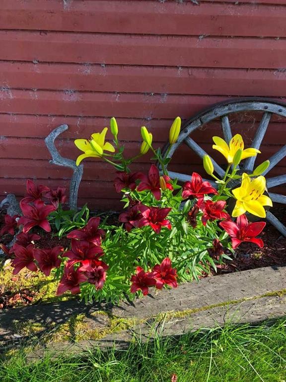 









241023


HWY 2

,
Rural Peace No. 135, M.D. of,




AB
T0H 1W0

