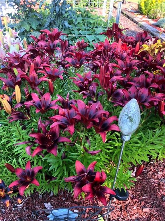 









241023


HWY 2

,
Rural Peace No. 135, M.D. of,




AB
T0H 1W0

