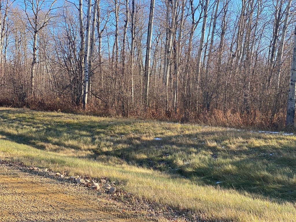 












223

Range,
Rural Northern Lights, County of,







AB
T8S 1S3

