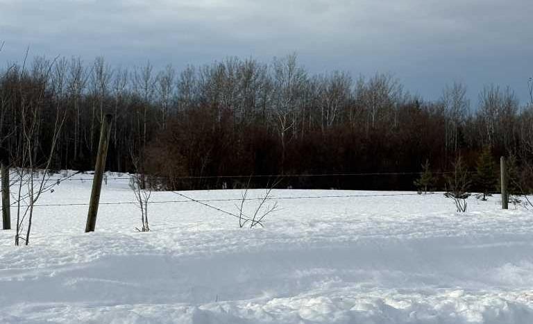 









Range Road 31


W6-3-84-24 NW & SW

, 843001,
Rural Clear Hills County,







AB
T0H2A0

