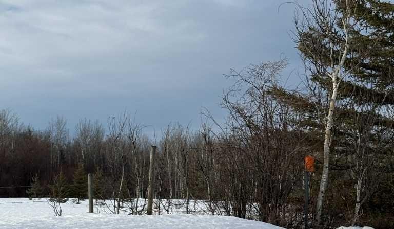 









Range Road 31


W6-3-84-24 NW & SW

, 843001,
Rural Clear Hills County,







AB
T0H2A0

