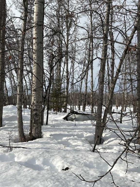 









Range Road 31


W6-3-84-24 NW & SW

, 843001,
Rural Clear Hills County,







AB
T0H2A0

