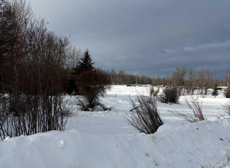 









Range Road 31


W6-3-84-24 NW & SW

, 843001,
Rural Clear Hills County,







AB
T0H2A0

