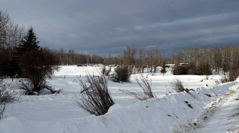 









Range Road 31


W6-3-84-24 NW & SW

, 843001,
Rural Clear Hills County,







AB
T0H2A0


