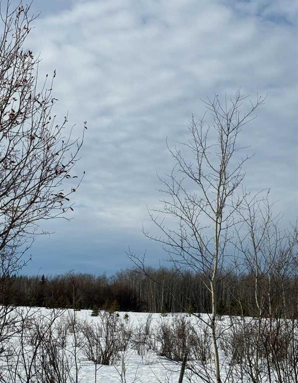 









Range Road 31


W6-3-84-24 NW & SW

, 843001,
Rural Clear Hills County,







AB
T0H2A0

