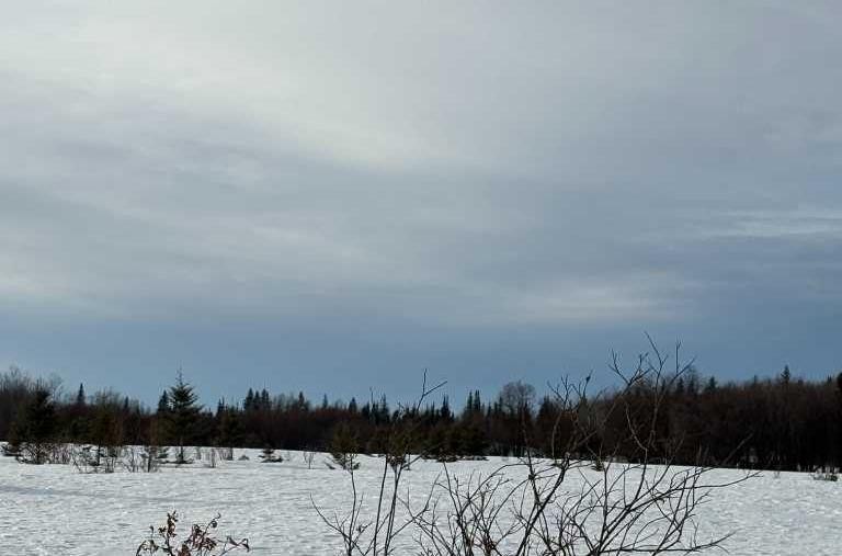 









Range Road 31


W6-3-84-24 NW & SW

, 843001,
Rural Clear Hills County,







AB
T0H2A0

