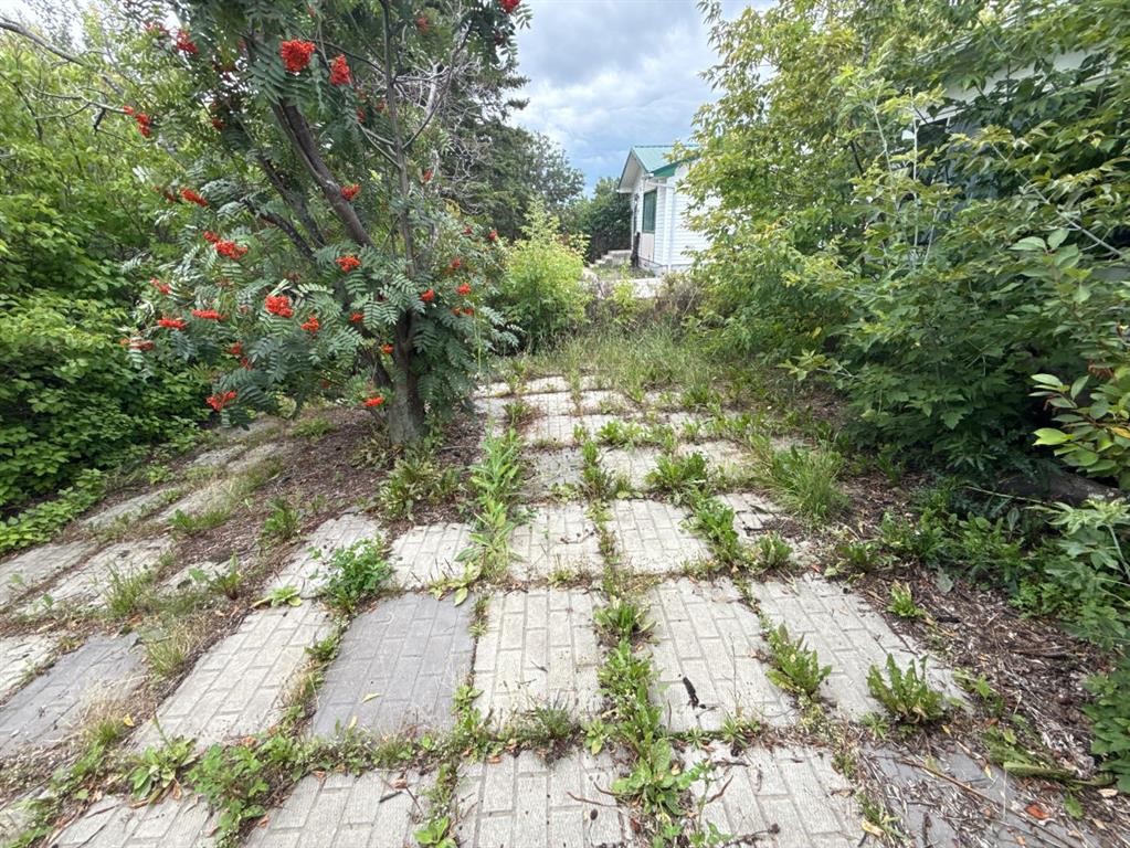 









5410


51

Street,
Berwyn,




AB
T0H 0E0

