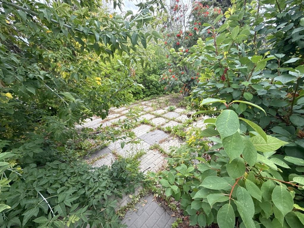 









5410


51

Street,
Berwyn,




AB
T0H 0E0

