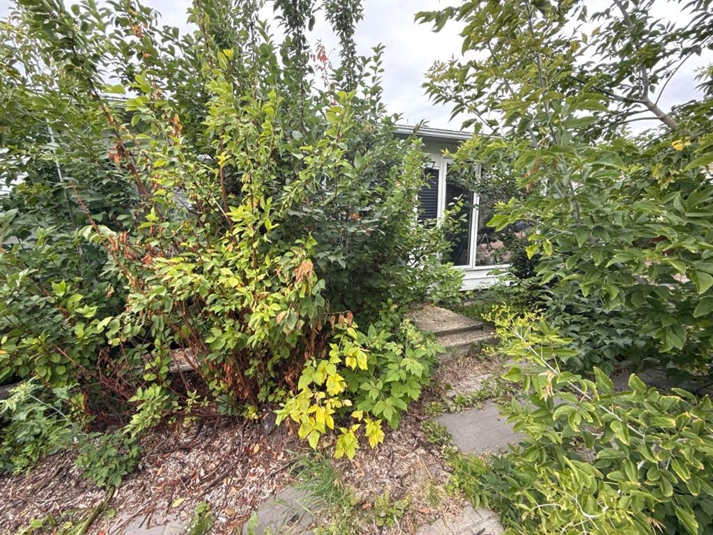 









5410


51

Street,
Berwyn,




AB
T0H 0E0

