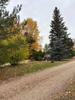 









17423


Highway 2

,
High Prairie,




AB
T0G 1E0

