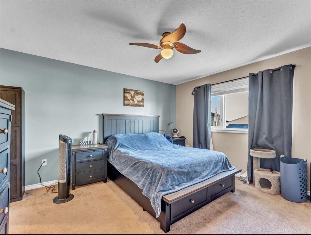 









28


Saamis

Close Southwest,
Medicine Hat,




AB
T1B4v6

