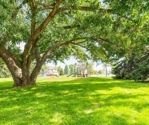 









245


Red Deer

Drive Southwest, 202,
Medicine Hat,




AB
T1A8P4

