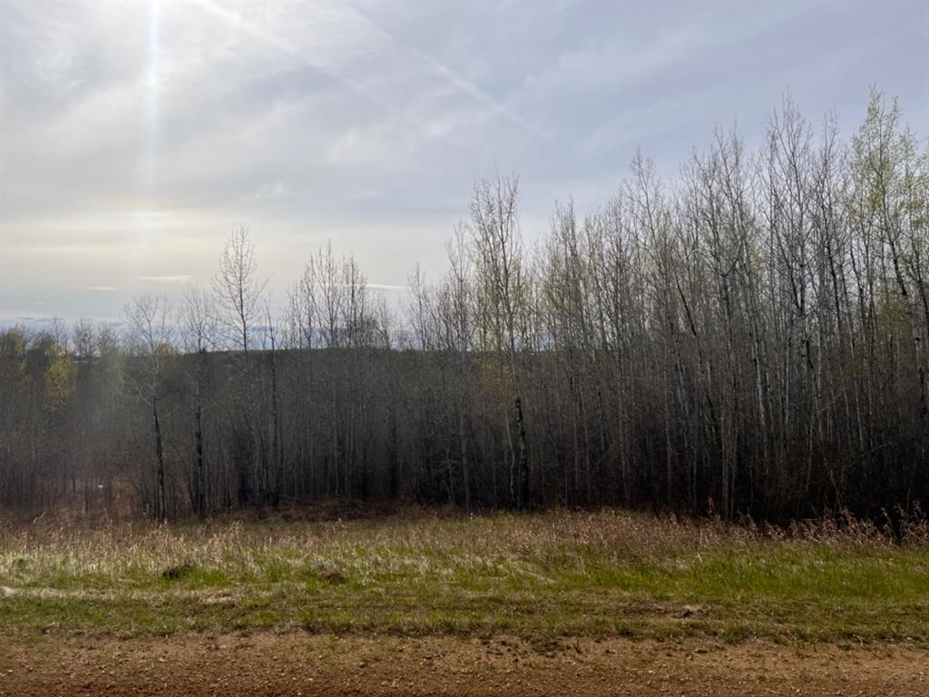 









Lot #7


Survey

Road,
Athabasca,







AB
T9S 1C4

