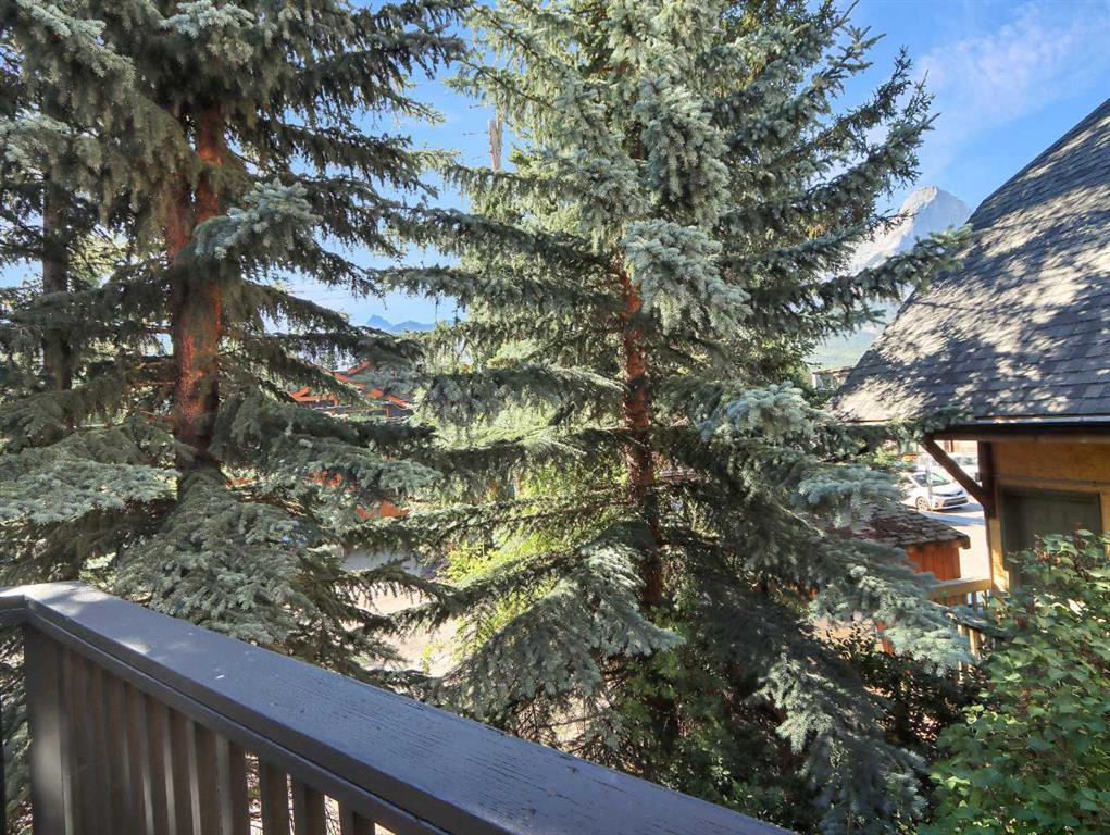 









833


7th Street

, 4,
Canmore,




AB
T1W2C4

