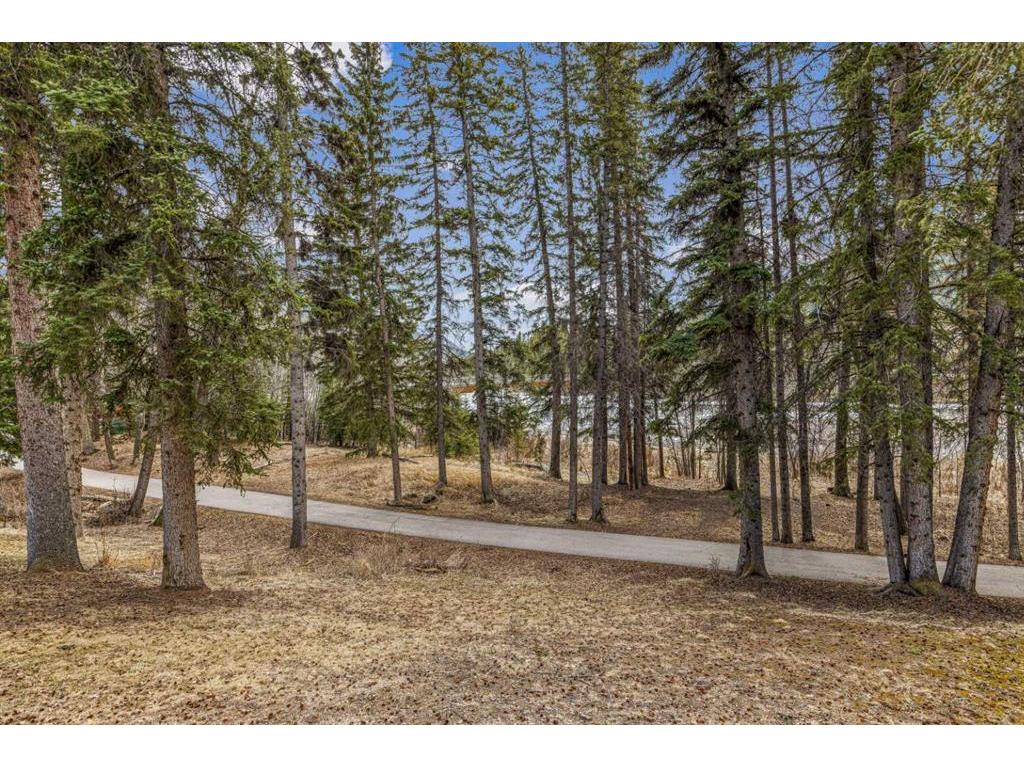 









317


Buffalo

Street,
Banff,




AB
T1L 1A1

