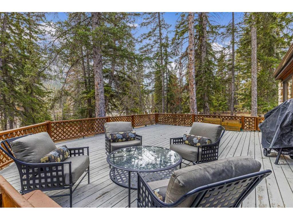 









317


Buffalo

Street,
Banff,




AB
T1L 1A1

