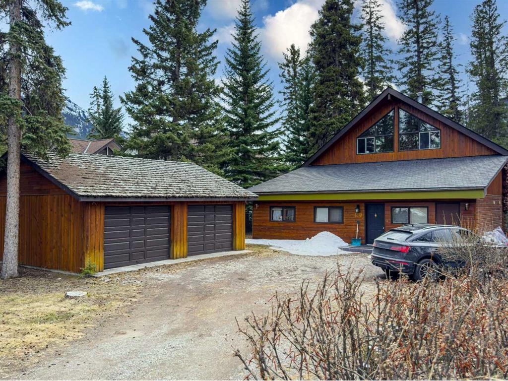 









317


Buffalo

Street,
Banff,




AB
T1L 1A1

