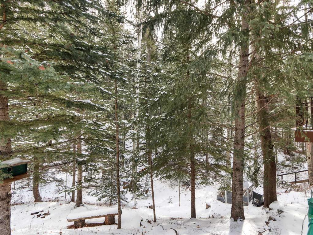 









160


Benchlands

Terrace,
Canmore,




AB
T1W1G2

