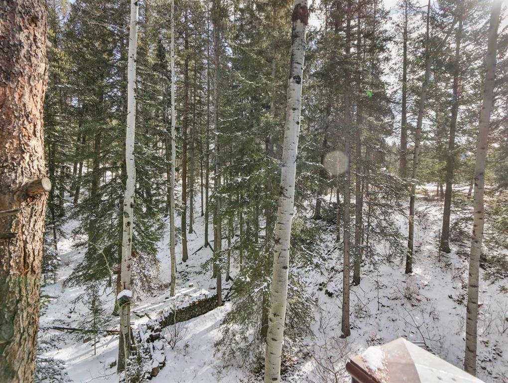 









160


Benchlands

Terrace,
Canmore,




AB
T1W1G2

