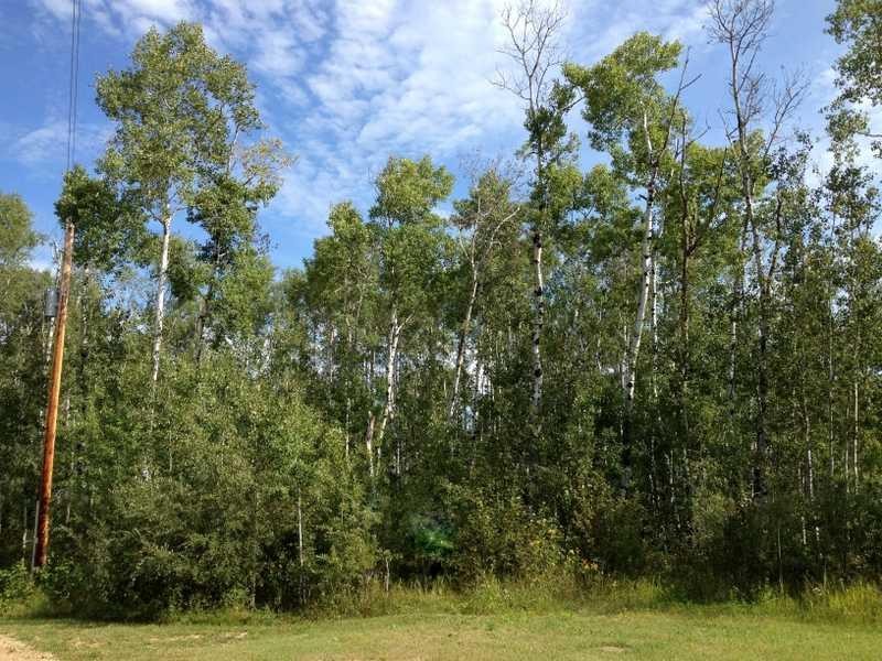 









8


Antler

Close,
Rural Athabasca County,







AB
T9S 2A6


