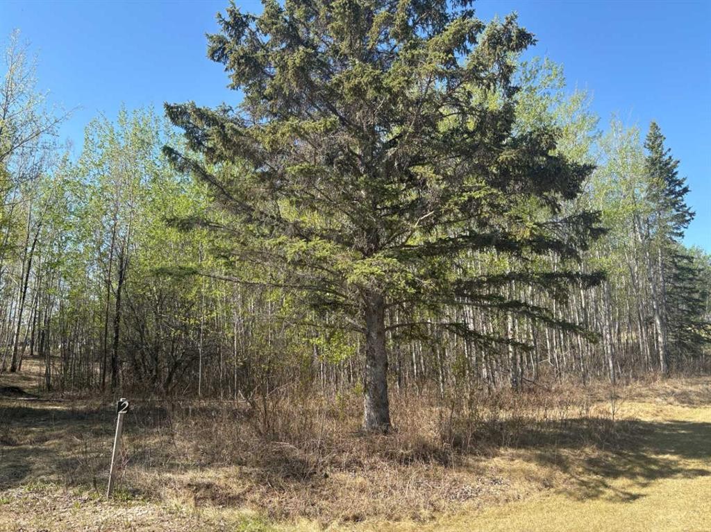 









660023


Range Road 224

, #2,
Rural Athabasca County,







AB
T9S 2A8

