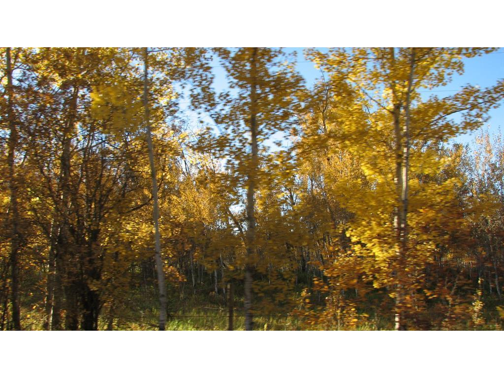 









17


Wood Heights

Road,
Rural Athabasca County,







AB
T9S 2A6


