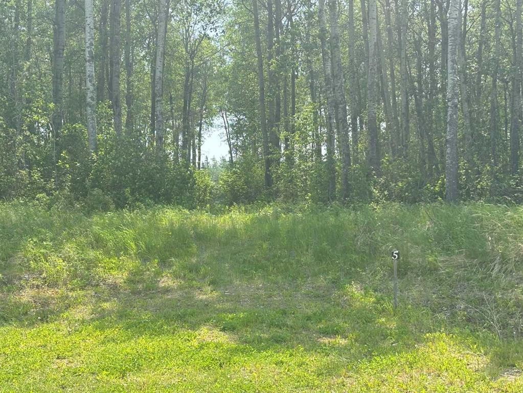 









660023


Range Road 224

, #5,
Rural Athabasca County,







AB
T9S 2A8

