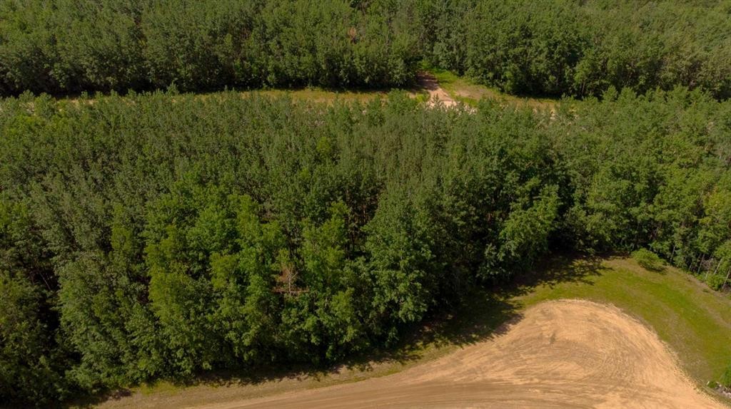









Westview


Drive

,
Athabasca,







AB
T0G0R0

