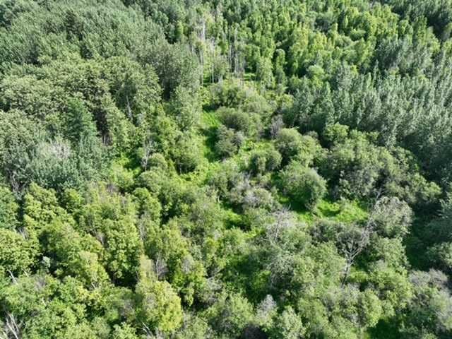 












SW 35-65-20-W4

,
Rural Athabasca County,







AB
T9S 2A4

