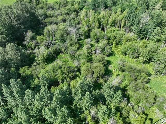 












SW 35-65-20-W4

,
Rural Athabasca County,







AB
T9S 2A4

