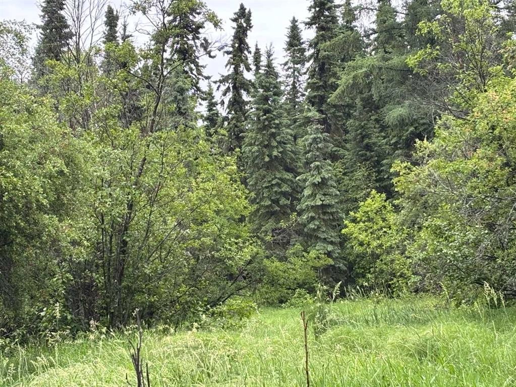 












SW 35-65-20-W4

,
Rural Athabasca County,







AB
T9S 2A4

