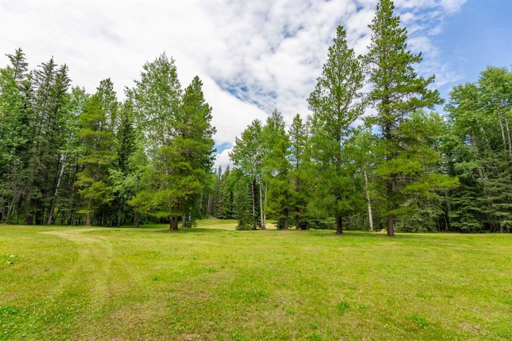 









23518


Highway 16 W

, 12,
Rural Yellowhead County,




AB
T7V 0A3

