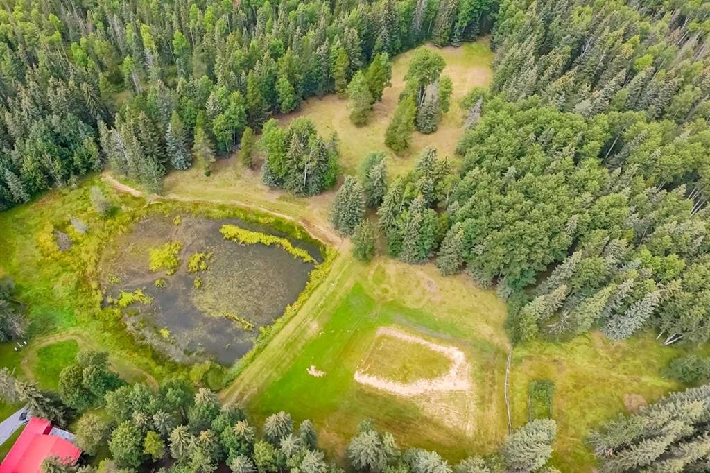 









23518


Highway 16 W

, 12,
Rural Yellowhead County,




AB
T7V 0A3

