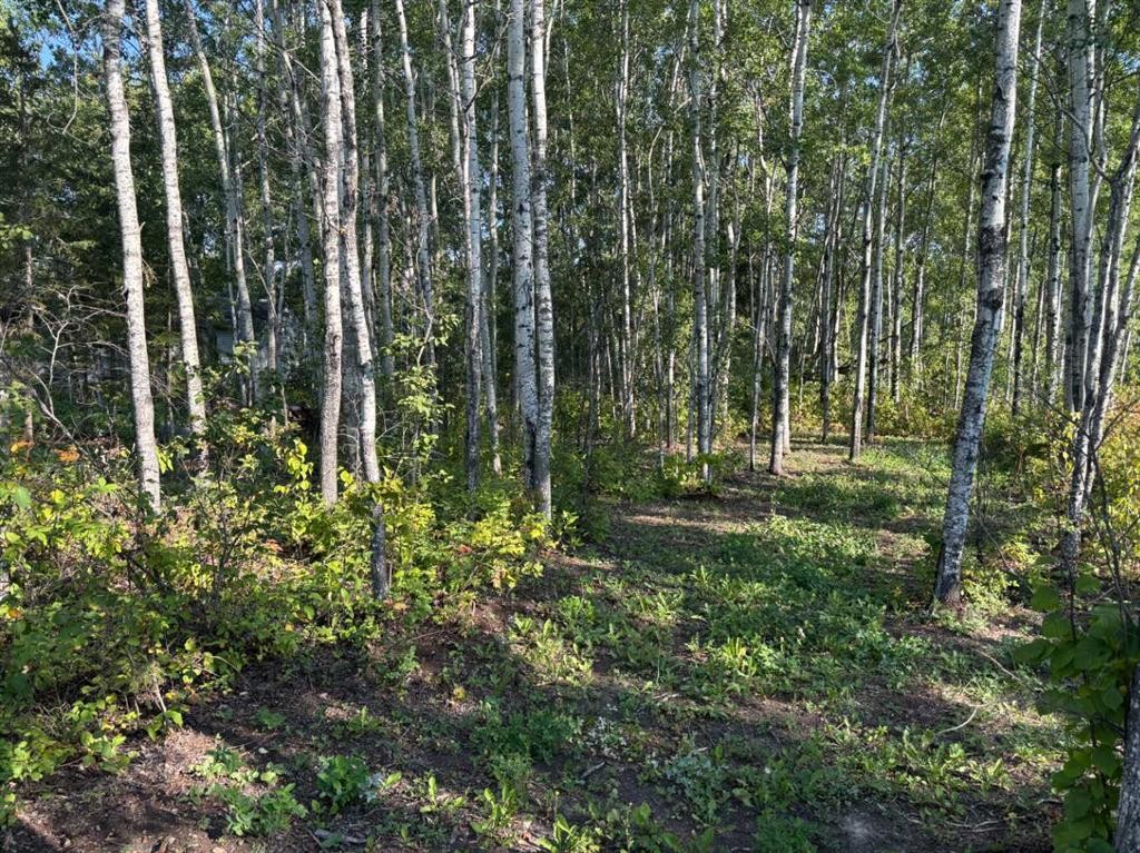 









660022 - Range Road 225.5


(Unit 35)

, #226,
Athabasca,




AB
T9S 1C4

