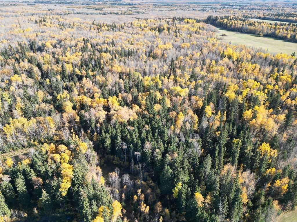 









3210


Calling Lake Drive

,
Calling Lake,







AB
T0G0K0

