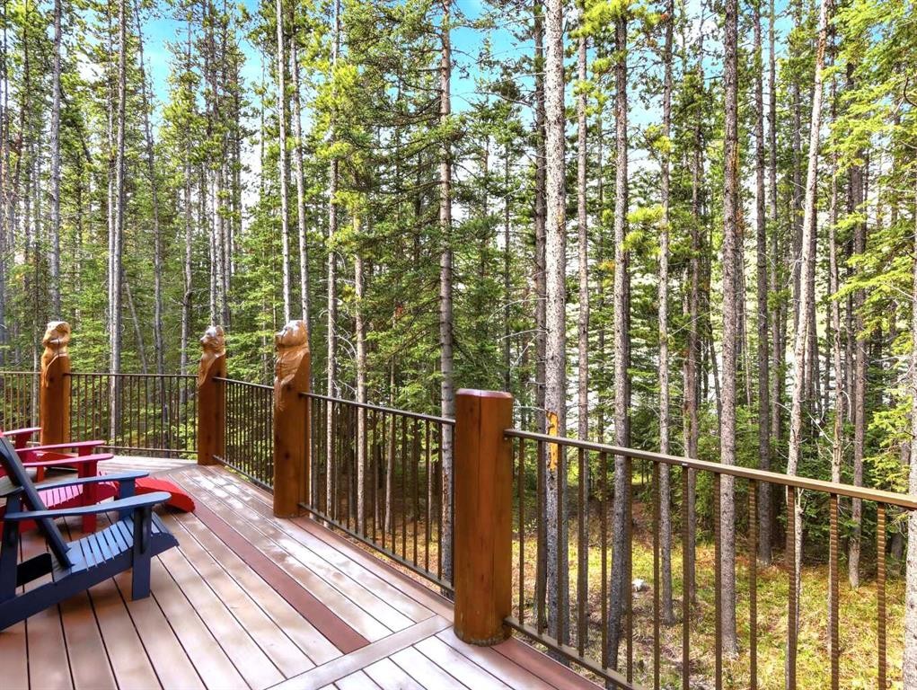 









46


Lake Shore Drive

,
Rural Kananaskis ID,




AB
T1W1A1

