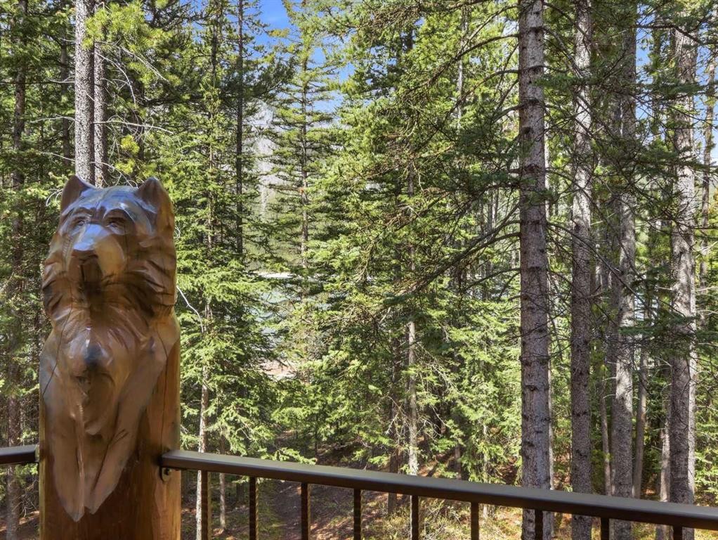 









46


Lake Shore Drive

,
Rural Kananaskis ID,




AB
T1W1A1

