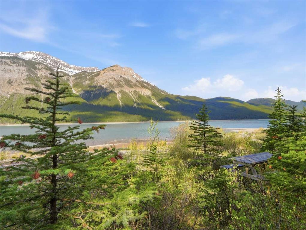 









46


Lake Shore Drive

,
Rural Kananaskis ID,




AB
T1W1A1

